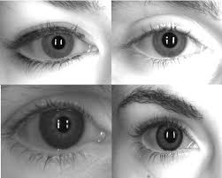 Iris Camera App